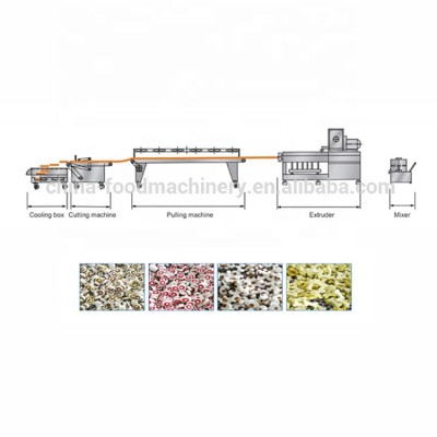 Chewing gum making machine for pet food